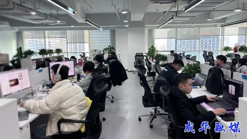 出海升級，攻堅克難 成都成華科技企業開啟2026沖刺模式